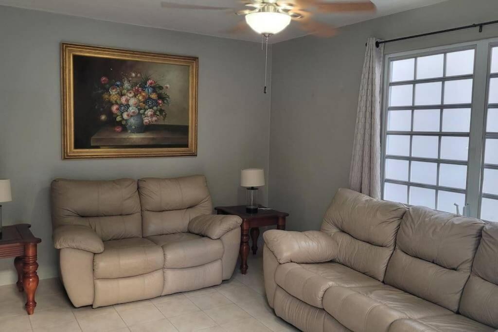 Coamo Beautiful House, Ac, 10Min Coamo Hot Springs Exterior foto
